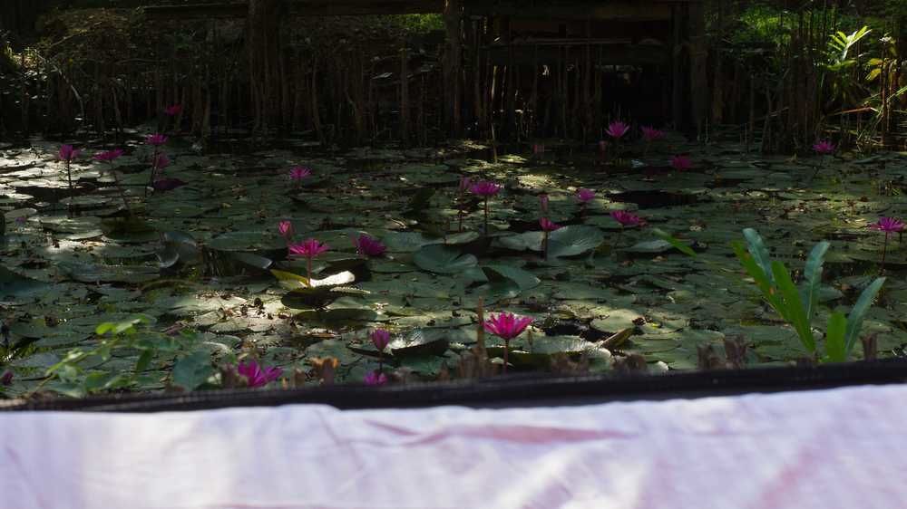 "Camp Kush" By Hostel Unawatuna Eksteriør billede