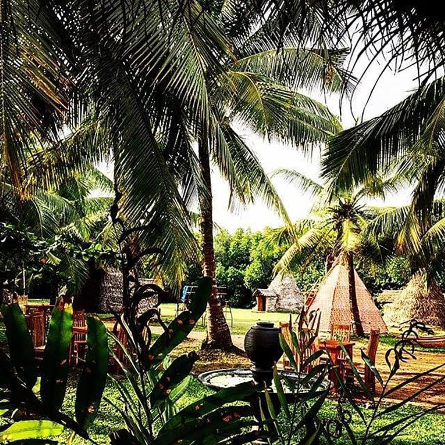 "Camp Kush" By Hostel Unawatuna Eksteriør billede