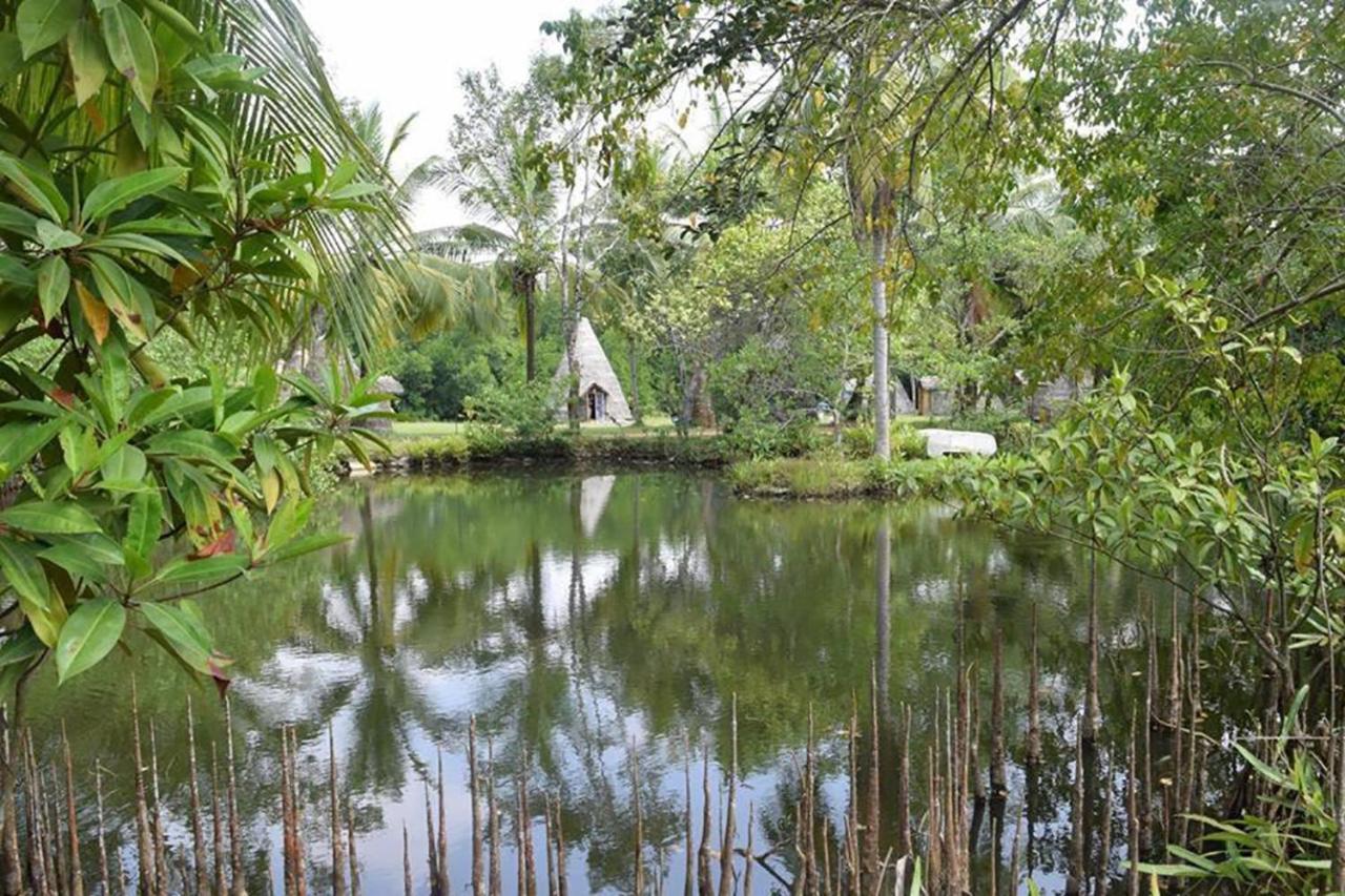 "Camp Kush" By Hostel Unawatuna Eksteriør billede