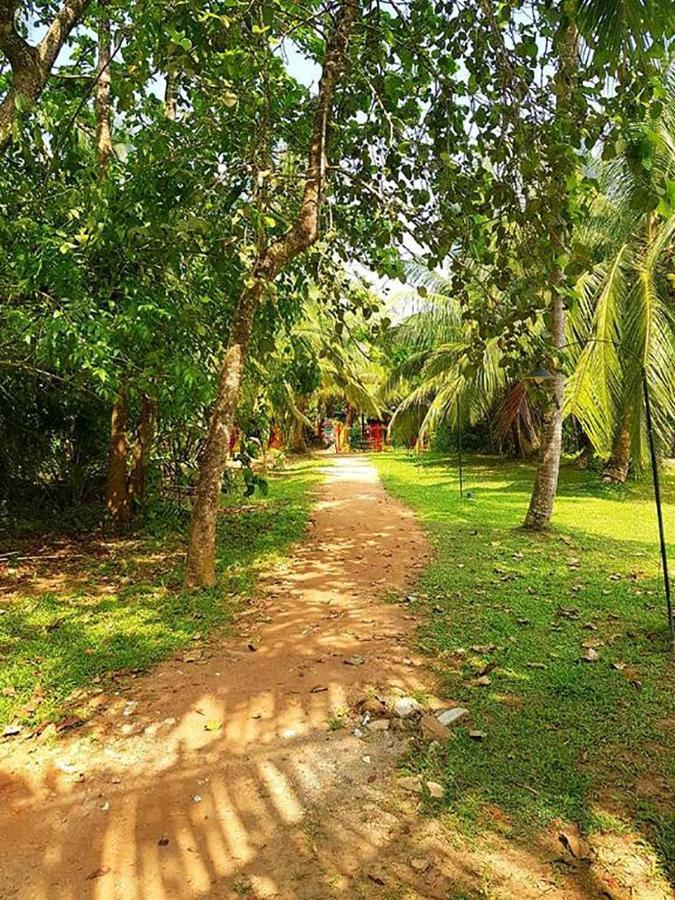 "Camp Kush" By Hostel Unawatuna Eksteriør billede